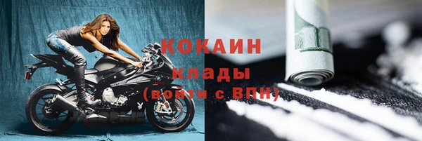 сатива Абаза